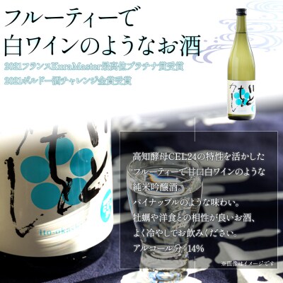 日本酒セット 純米大吟醸 龍奏 純米吟醸 いとをかし 720ml 各1本 gs-0145