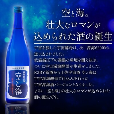 【高木酒造】土佐宇宙深海酒 特別純米酒 空と海 720ml×2本 日本酒 セット gs-0203
