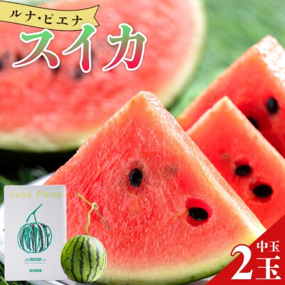 【発送開始】ルナ・ピエナスイカ(中玉) 2玉 yu-0016
