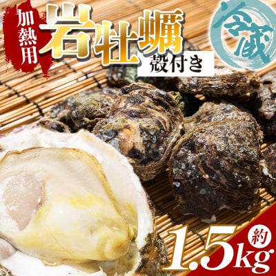 <先行受付>天然 岩牡蠣(殻付き) 1.5kg 冷蔵 加熱用 eb-0033