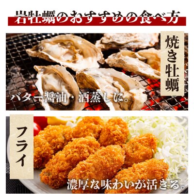<先行受付>天然 岩牡蠣(殻付き) 1.5kg 冷蔵 加熱用 eb-0033