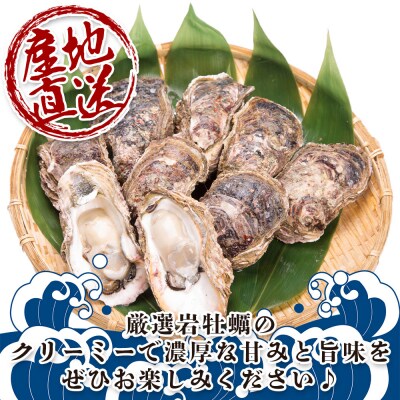 天然 岩牡蠣(殻付き) 2kg 冷蔵 加熱用 eb-0008