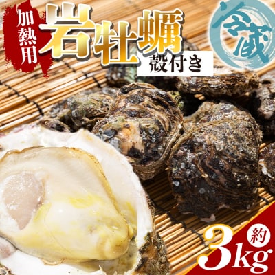 <先行受付>天然 岩牡蠣(殻付き) 3kg 冷蔵 加熱用 eb-0035