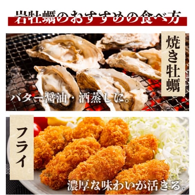 <先行受付>天然 岩牡蠣(殻付き) 3kg 冷蔵 加熱用 eb-0035