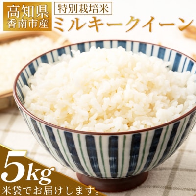 高知県香南市産 特別栽培米 ミルキークイーン 5kg sr-0001