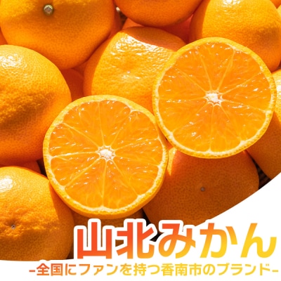 山北温室(ハウス)みかん2.5kg&山北みかんジュース(720ml) セット yk-0054
