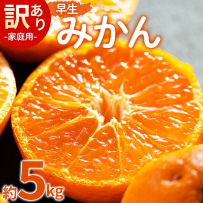 【先行受付】家庭用 訳あり 早生みかん 約5kg(Lサイズ) be-0071