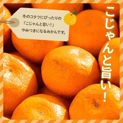 【2026年11月より順次配送】家庭用 訳あり 早生みかん 約5kg(Lサイズ) be-0115