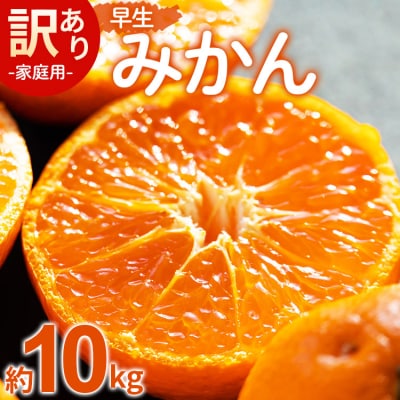 【2026年11月より順次配送】家庭用 訳あり 早生みかん 約10kg(Lサイズ) be-0116