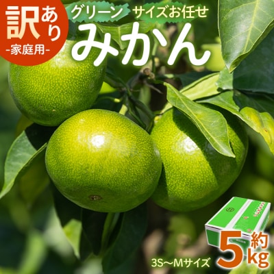 【先行受付】訳あり(家庭用) サイズお任せ グリーンみかん 5kg 3S～Mサイズ be-0097
