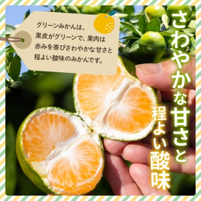 【先行受付】訳あり(家庭用) サイズお任せ グリーンみかん 5kg 3S～Mサイズ be-0097