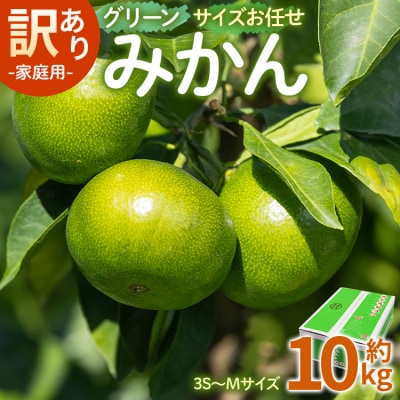 【2026年9月より順次配送】訳あり(家庭用) グリーンみかん 10kg 小玉 be-0120