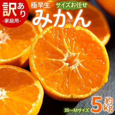 【先行受付】訳あり(家庭用) サイズお任せ 極早生みかん 5kg 3S～Mサイズ be-0098