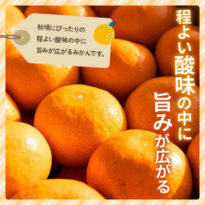 【2026年10月より順次配送】訳あり(家庭用) 極早生みかん 5kg 小玉 be-0118