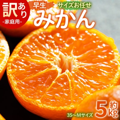 【先行受付】訳あり(家庭用) サイズお任せ 早生みかん 5kg 3S～Mサイズ be-0099
