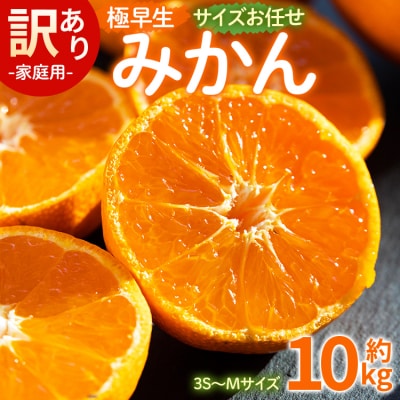 【先行受付】訳あり(家庭用) サイズお任せ 極早生みかん 10kg 3S～Mサイズ be-0101
