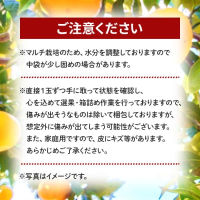 【2026年11月より順次配送】訳あり(家庭用) 早生みかん 10kg 小玉 be-0122