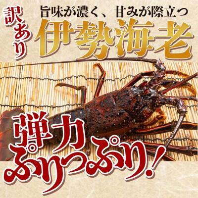 <先行受付>海鮮バーベキューセット(伊勢海老・岩牡蠣) 2〜3人前 冷凍 eb-0036