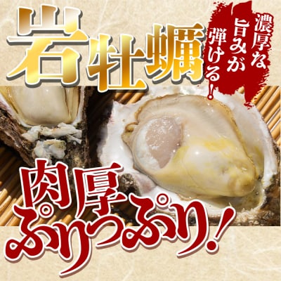 <先行受付>海鮮バーベキューセット(伊勢海老・岩牡蠣) 3〜4人前 冷凍 eb-0037