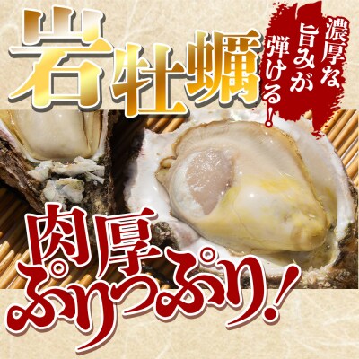 <先行受付>海鮮バーベキューセット(伊勢海老・岩牡蠣) 3〜4人前 冷凍 eb-0037