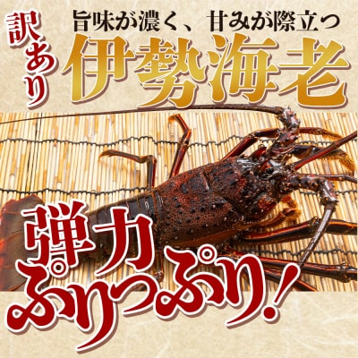 <先行受付>海鮮バーベキューセット(伊勢海老・岩牡蠣) 3〜4人前 冷凍 eb-0037