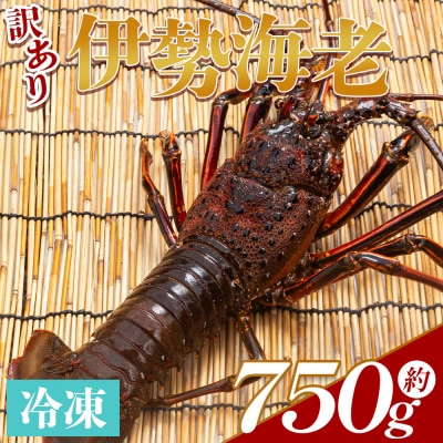伊勢海老 冷凍 計750g(1～3匹) - 国産 みそ汁 エビ えび 魚介 産地直送 eb-0046