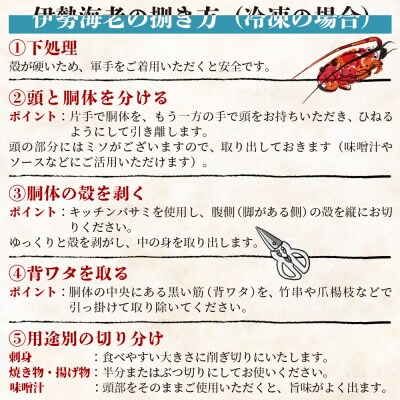伊勢海老 冷凍 計750g(1～3匹) - 国産 みそ汁 エビ えび 魚介 産地直送 eb-0058