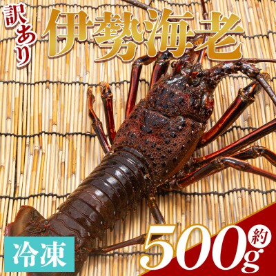 伊勢海老 計500g(1～2匹) 冷凍 - 国産 みそ汁 エビ えび 魚介 産地直送 eb-0024