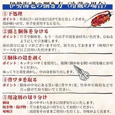 伊勢海老 計500g(1～2匹) 冷凍 - 国産 みそ汁 エビ えび 魚介 産地直送 eb-0004