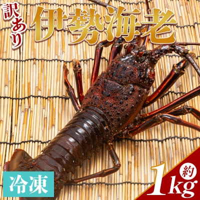 伊勢海老 冷凍 1kg(1～5匹) - 国産 みそ汁 エビ えび 魚介 産地直送 eb-0006