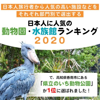 【返礼品なし】高知県立のいち動物公園 動物支援(飼料費支援) 500,000円 ni-0011