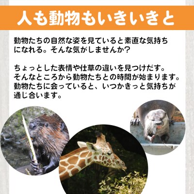 【返礼品なし】高知県立のいち動物公園 動物支援(飼料費支援) 500,000円 ni-0011