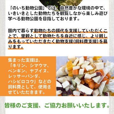 【返礼品なし】高知県立のいち動物公園 動物支援(飼料費支援) 500,000円 ni-0011