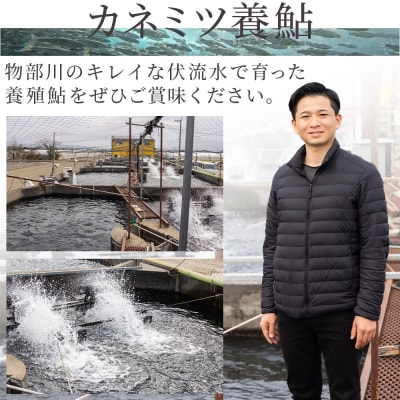 【冷蔵】子持ち鮎 500g 生鮎 高知県産 物部川のキレイな伏流水で育った 養殖鮎 kt-0004
