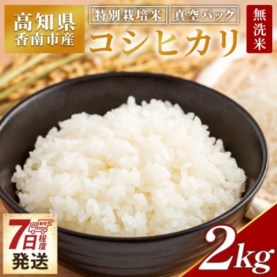 【7日程度で発送】特別栽培米 コシヒカリ 2kg 無洗米 nu-0001