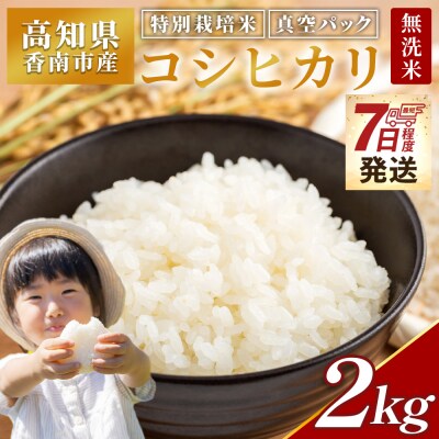 【7日程度で発送】【特別栽培米】 コシヒカリ 2kg 無洗米 令和7年産 nu-0001