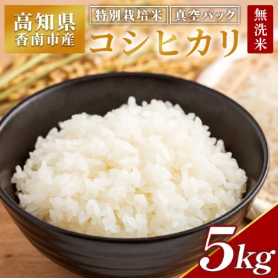 高知県香南市産 特別栽培米 コシヒカリ 5kg nu-0002