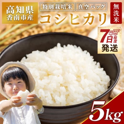 【7日程度で発送】特別栽培米 コシヒカリ 5kg 無洗米 nu-0002