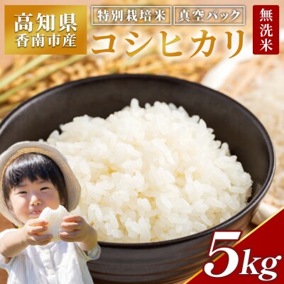 【7日程度で発送】【特別栽培米】【無洗米】コシヒカリ 5kg 令和7年産 nu-0002