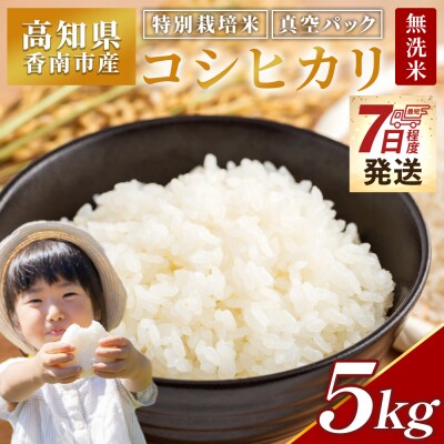  【5kg】特別栽培米 無洗米 5キロ コシヒカリ 令和7年産 【7日程度で発送】 nu-0002