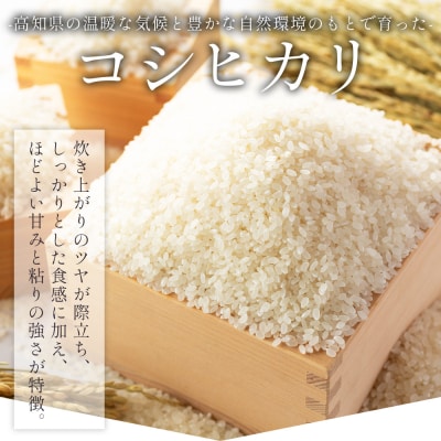 高知県香南市産 特別栽培米 コシヒカリ 5kg nu-0002