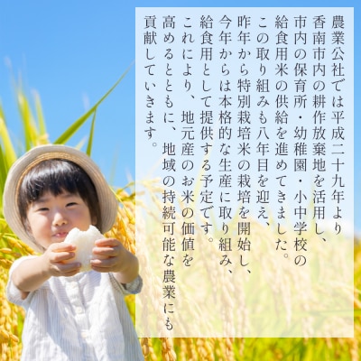 高知県香南市産 特別栽培米 コシヒカリ 5kg nu-0002