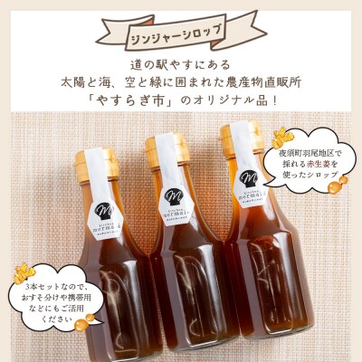 ジンジャーシロップ 150ml×3本 yr-0060