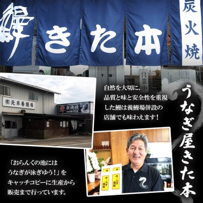 【2回定期便】うなぎ屋きた本 うなぎ白焼き120g 1尾(無頭) Wun-0031