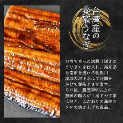 【6回定期便】養殖うなぎ蒲焼き 約140g×3尾(台湾産鰻) Wfb-0091