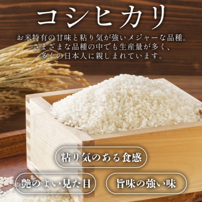 【8〜9月お届け】新米コシヒカリ 5kg at-0042