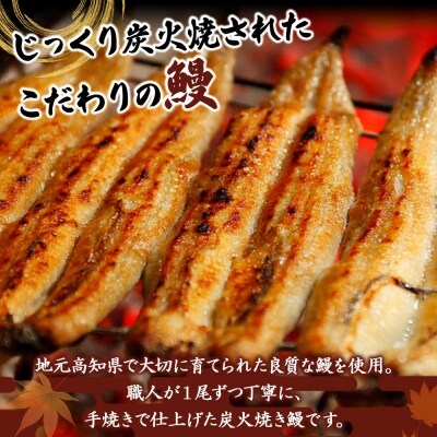 【3回定期便】炭火手焼のうなぎ蒲焼130g×3尾セット 蒲焼のたれ付き Wfb-0030