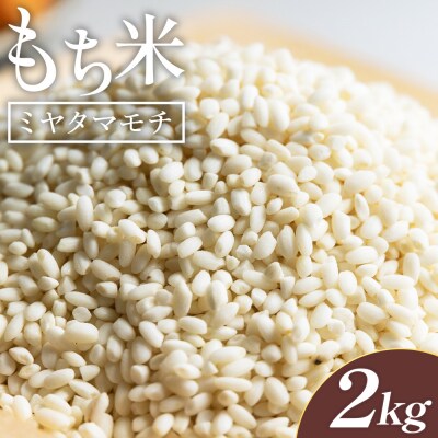 米 新米 先行予約 令和8年産 もち米 ミヤタマモチ 2kg 高知県香南市産 at-0069