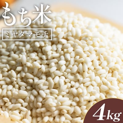 米 新米 先行予約 令和8年産 もち米 ミヤタマモチ 4kg(2kg✕2) 香南市産 at-0070