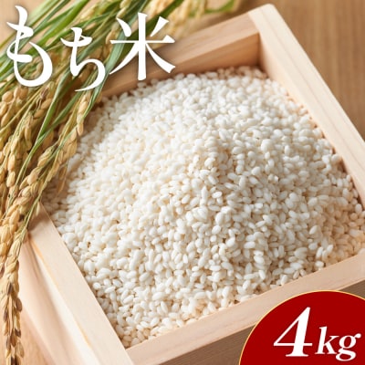 もち米 4kg(2kg×2) - 国産 餅 モチ もち米 高知県産 小分け at-0036